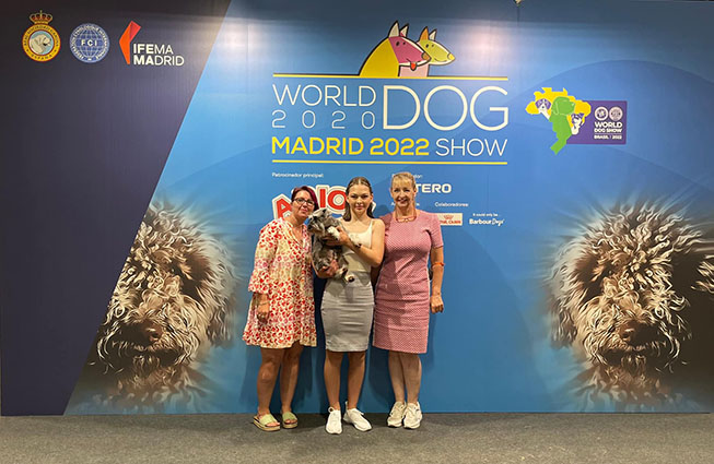 Ezüst Granit Violet at Peppergabito: Peppersdegabritho - Zwergschnauzer / Miniature Schnauzer Ezüst Granit Violet at Peppergabito: Peppersdegabritho - Zwergschnauzer / Miniature Schnauzer